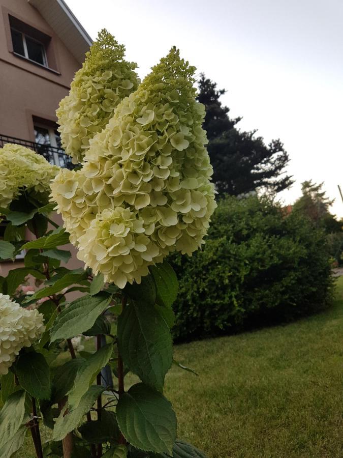 Apartmán Janina Pobierowo Exteriér fotografie
